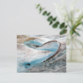 Mendenhall Glacier Postkarte (Stehend Vorderseite)