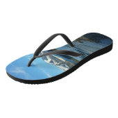 Mendenhall See Juneau Alaska Landschaft Badesandalen (Schrägansicht)