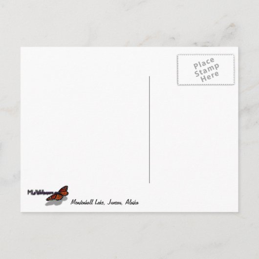 Mendenhall See Juneau Alaska Landschaft Postkarte (Rückseite)