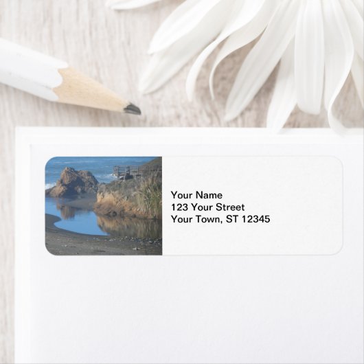 Mendocino Coast Beach (Insitu)