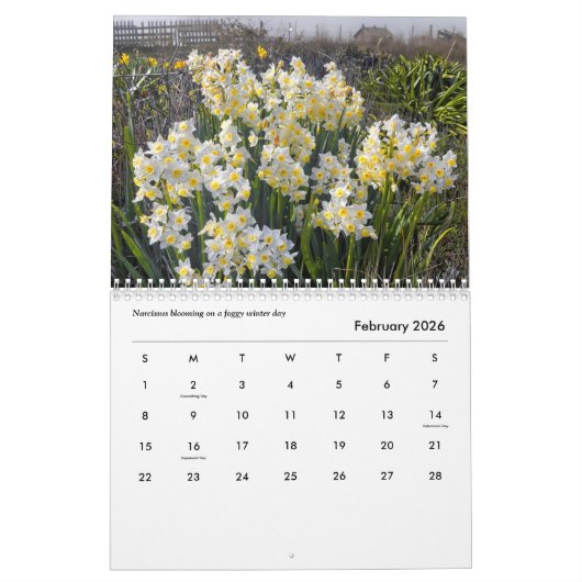 Mendocino Coast CALENDAR 2022  Kalender (Feb 2026)