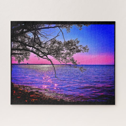 Mendota-See Puzzle (Horizontal)