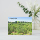 Mendoza grün postkarte (Stehend Vorderseite)
