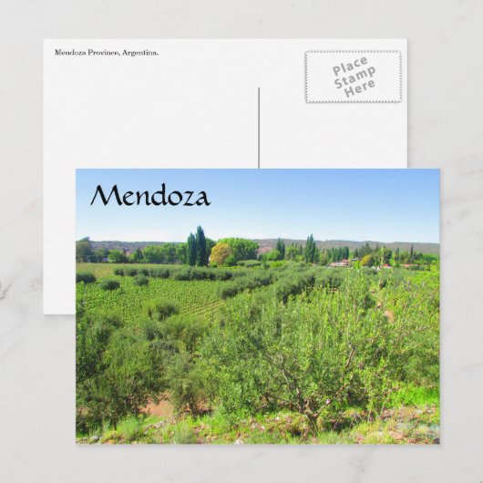 Mendoza grün postkarte (Vorne/Hinten)