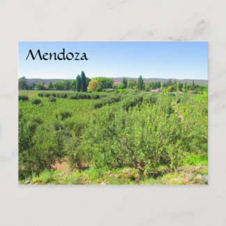 Mendoza grün postkarte