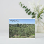 Mendoza grüne Hügel Postkarte (Stehend Vorderseite)