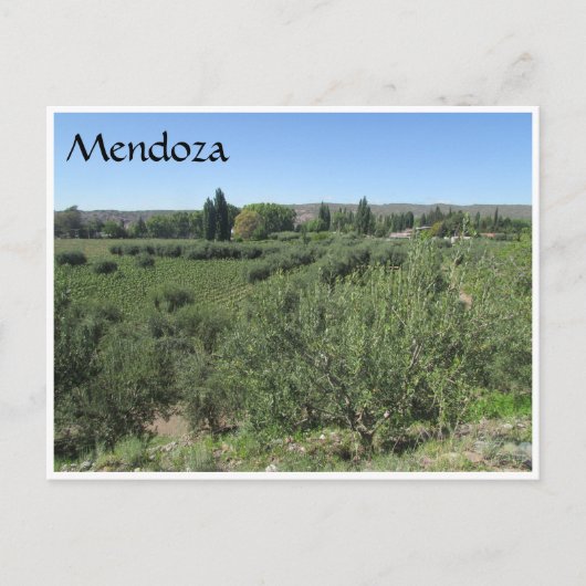 Mendoza grüne Hügel Postkarte (Vorderseite)