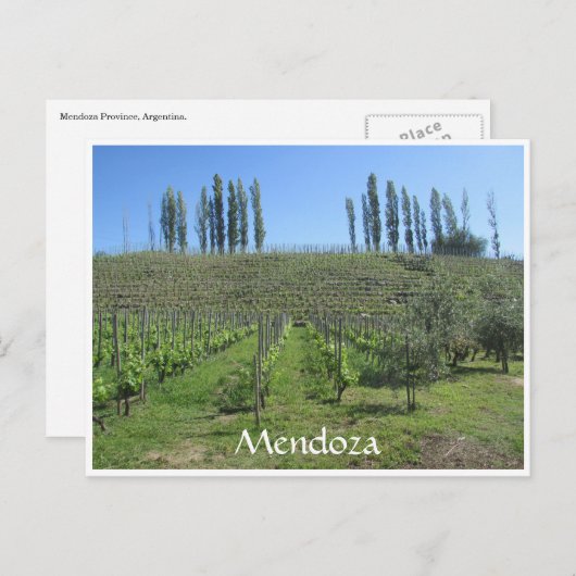 Mendoza-Hügel Postkarte (Vorne/Hinten)