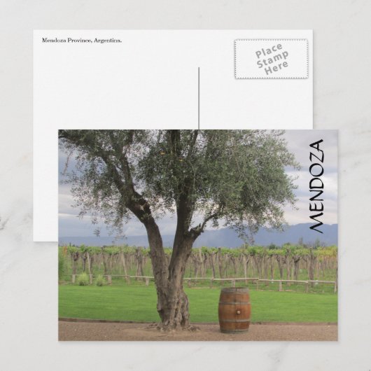 Mendoza-Laubbaum Postkarte (Vorne/Hinten)
