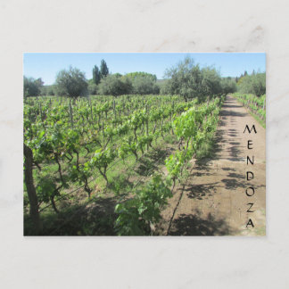 Mendoza Postkarte
