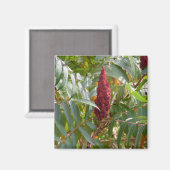Menge der Blume Magnet (Vorderseite/Rückseite)