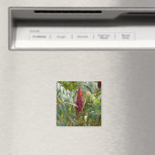 Menge der Blume Magnet (In Situ (Geschirrspüler))