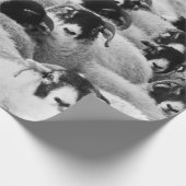 Menge der Schafe Schwarzweiss Geschenkpapier (Ecke)