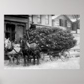 Menge der Weihnachtsbaumen, 1910 Poster (Vorne)