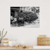 Menge der Weihnachtsbaumen, 1910 Poster (Küche)