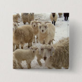 Menge der Ziegen Button (Vorderseite)