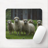 Menge des Ackerlands der Schaf-| Mousepad (Mit Mouse)
