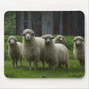 Menge des Ackerlands der Schaf-  Mousepad