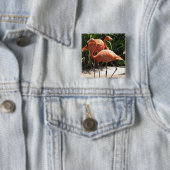 Menge des Flamingo-quadratischen Buttons (Beispiel)