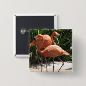 Menge des Flamingo-quadratischen Buttons (Vorne & Hinten)