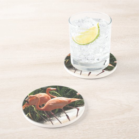 Menge des Flamingo-Untersetzer Sandstein Untersetzer (Seite)