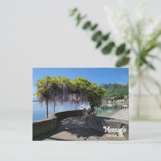 Mennagio Wisteria Postkarte (Stehend Vorderseite)