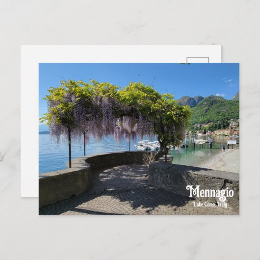 Mennagio Wisteria Postkarte (Vorne/Hinten)