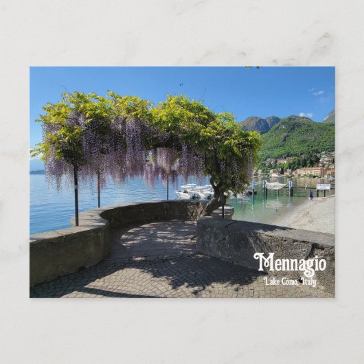 Mennagio Wisteria Postkarte (Vorderseite)