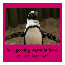 Menopausal Pinguin