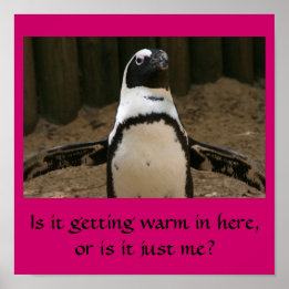Menopausal Pinguin Poster