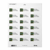 Menopause Lane (Vorne)