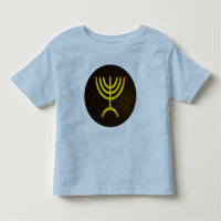 Menorah Flame