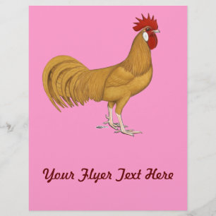 Menorca: Buff Rooster Flyer