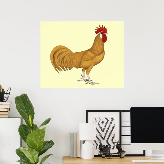 Menorca: Buff Rooster Poster (Heimbüro)
