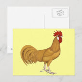 Menorca: Buff Rooster Postkarte (Vorne/Hinten)