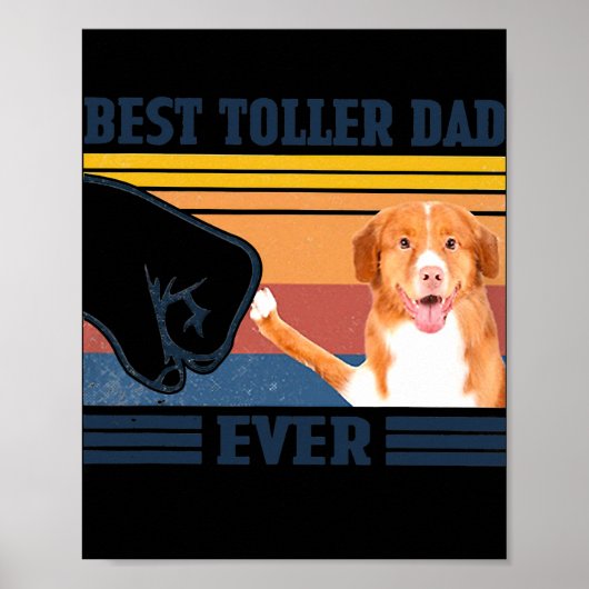 Mens Best Nova Scotia Duck Tolling Retriever Dad Poster (Vorne)