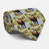 Mens Moose Krawatte (Gerollt)