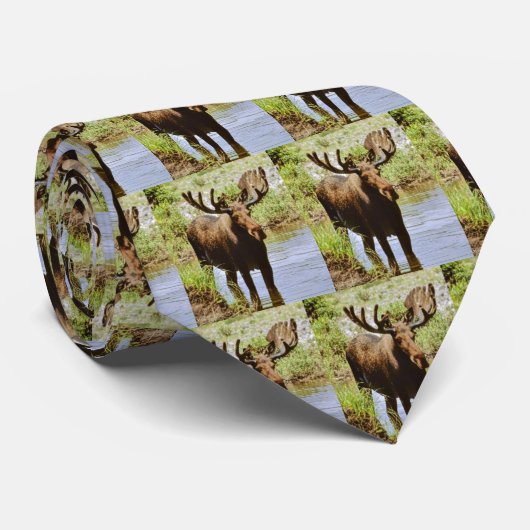 Mens Moose Krawatte (Gerollt)
