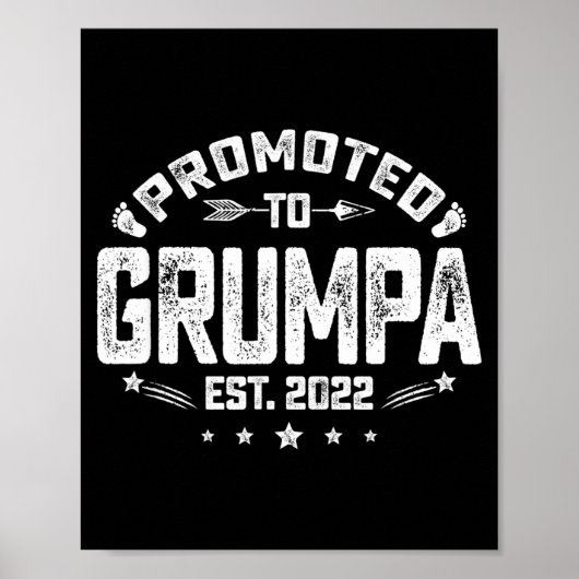 Mens Promoted To Mpa Est 2022 Funny New Mpa  Poster (Vorne)