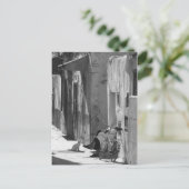 Mensch und Katze Postkarte (Stehend Vorderseite)