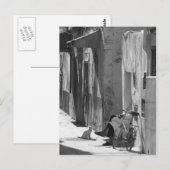 Mensch und Katze Postkarte (Vorne/Hinten)