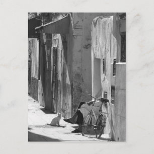 Mensch und Katze Postkarte