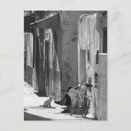 Mensch und Katze Postkarte (Vorderseite)