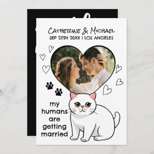 Menschen heiraten Niedliche Katzen Liebhaber Hand Save The Date
