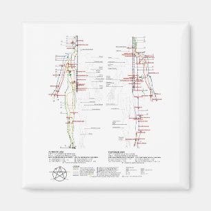 Menschendiagramm Magnet