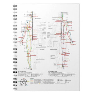 Menschendiagramm Notizblock