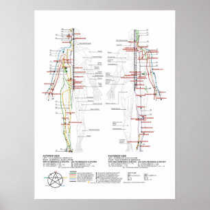 Menschendiagramm Poster