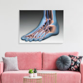 Menschenfett mit Nervensystem 1 Leinwanddruck (Insitu (Wohnzimmer))