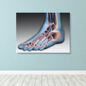 Menschenfett mit Nervensystem 1 Leinwanddruck (Insitu (Holzboden))