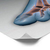 Menschenfett mit Nervensystem 1 Poster (Ecke)